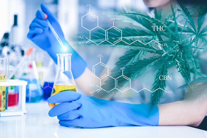 5 Reasons Researchers Are Studying CBD Oil | Articles | The Pain Clinic
